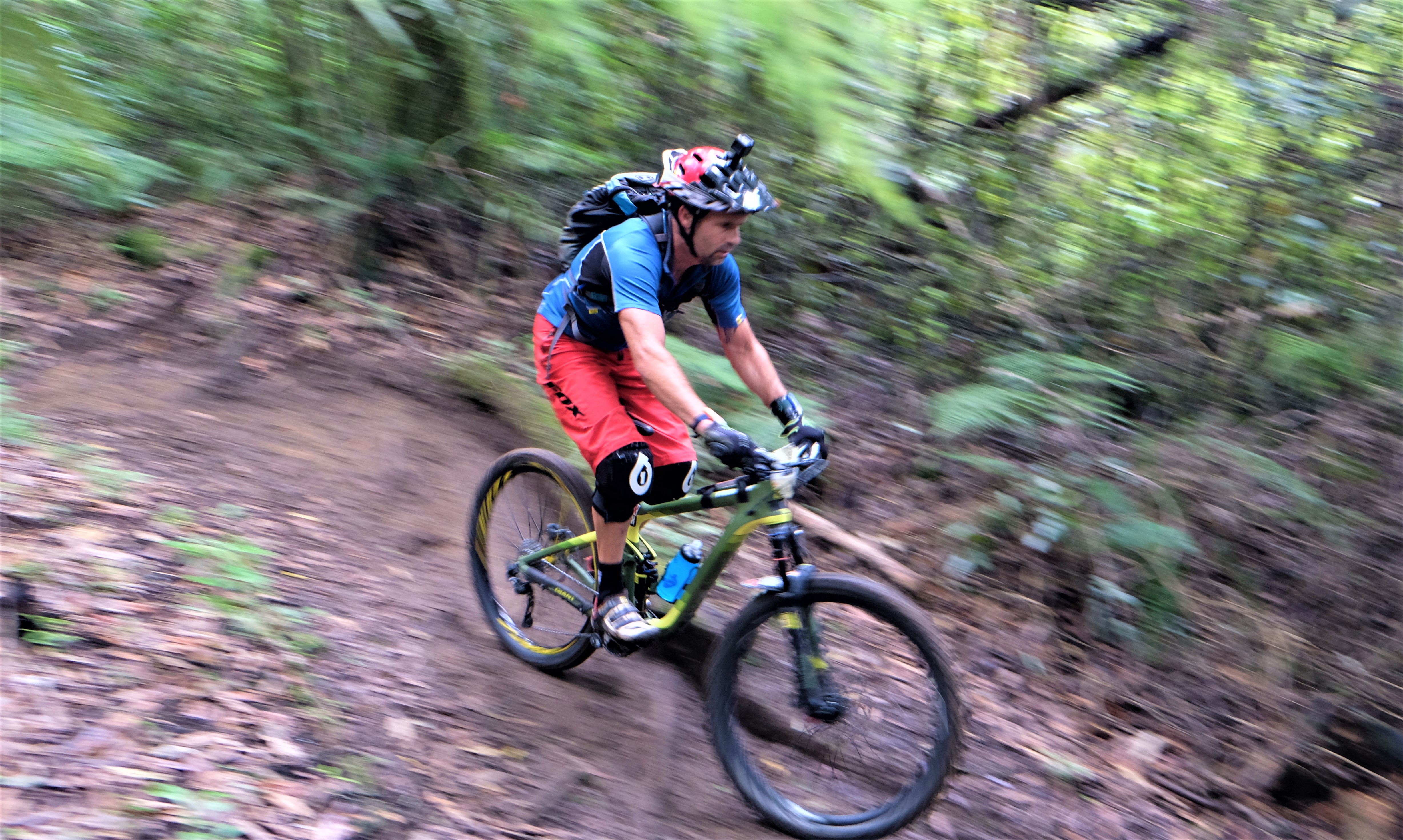 giant-toa-enduro-challenger_32823634083_o