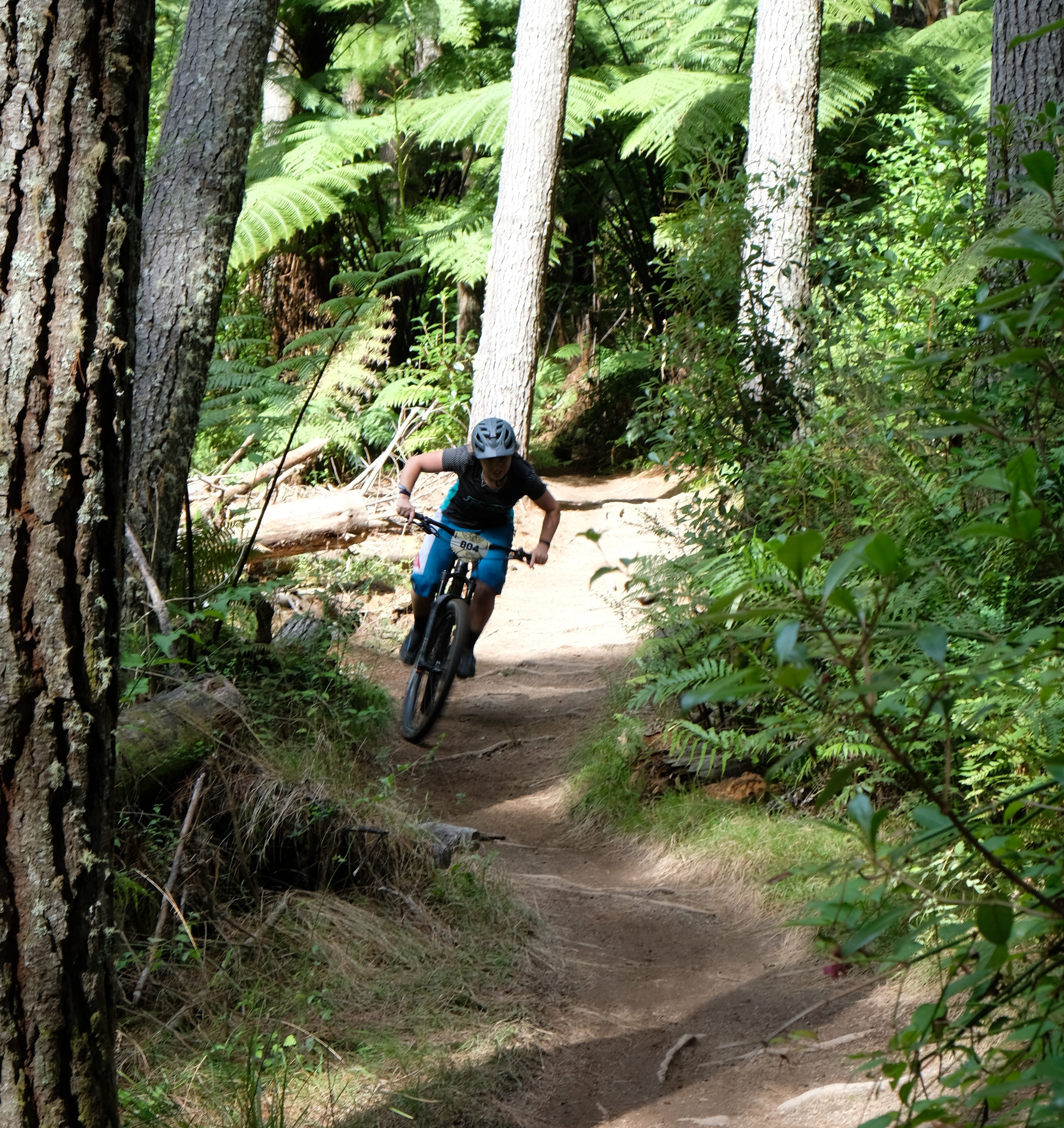 giant-toa-enduro-challenger_32823674053_o