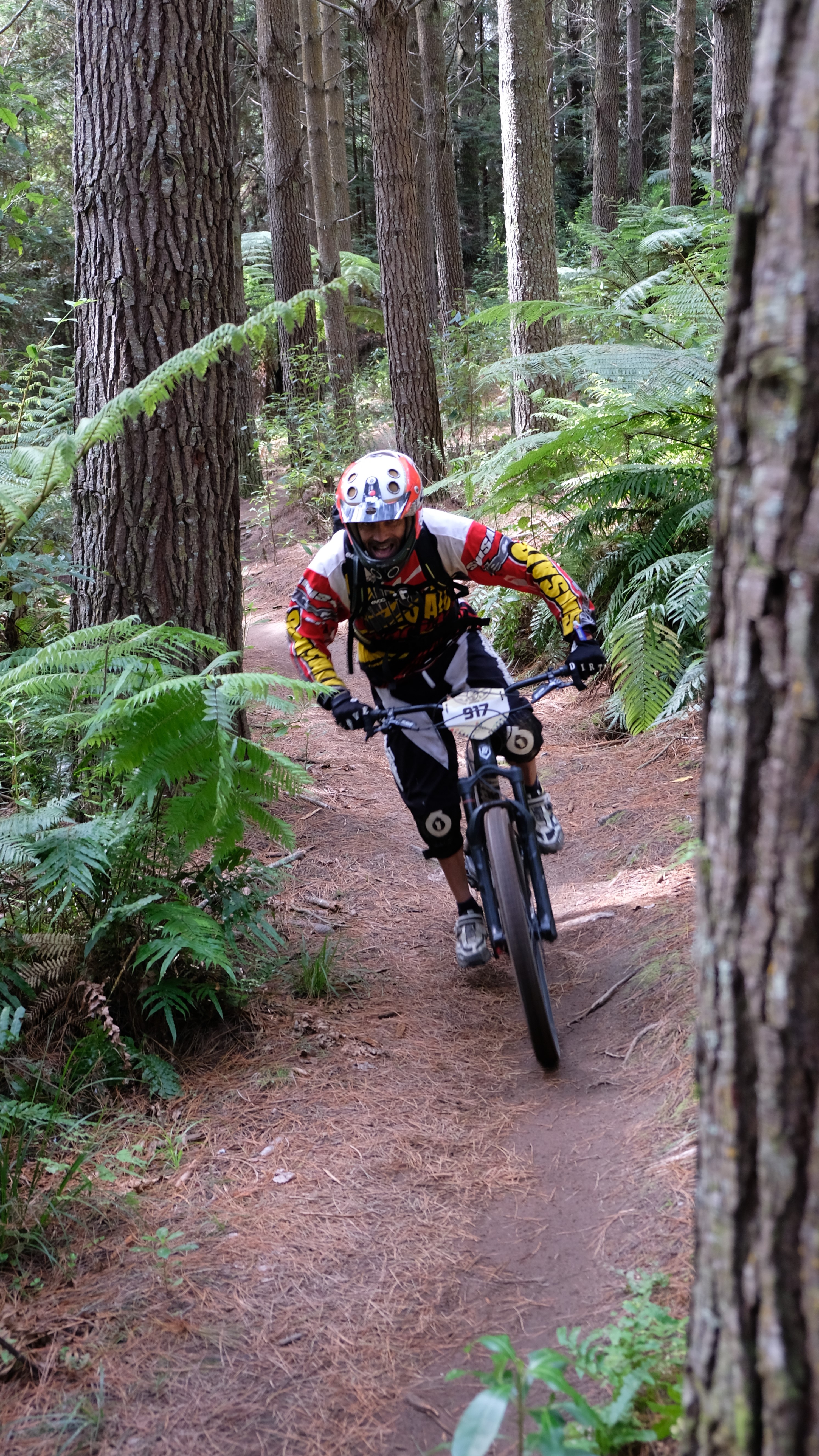 giant-toa-enduro-challenger_32823681723_o