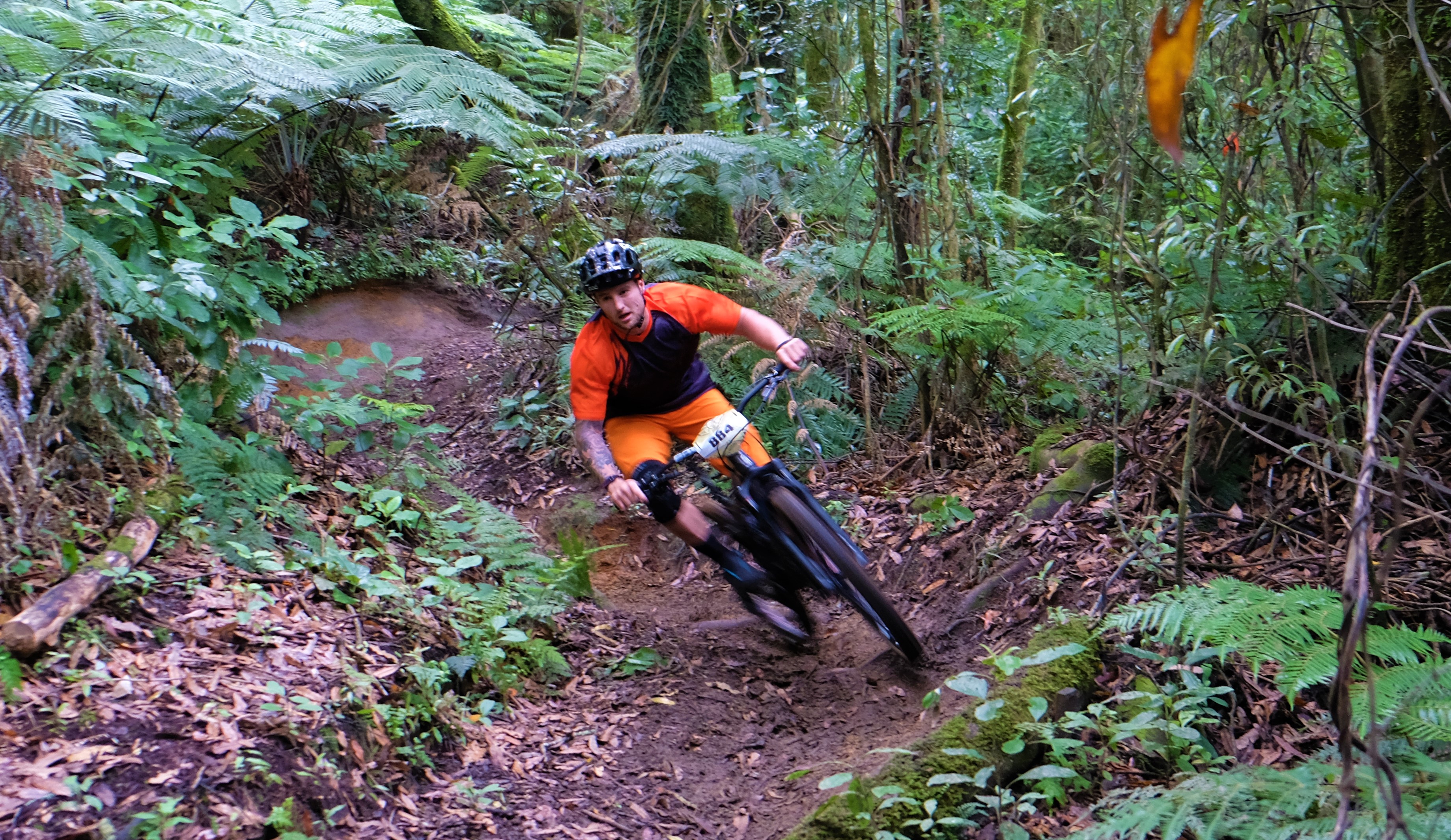 giant-toa-enduro-challenger_33480980052_o