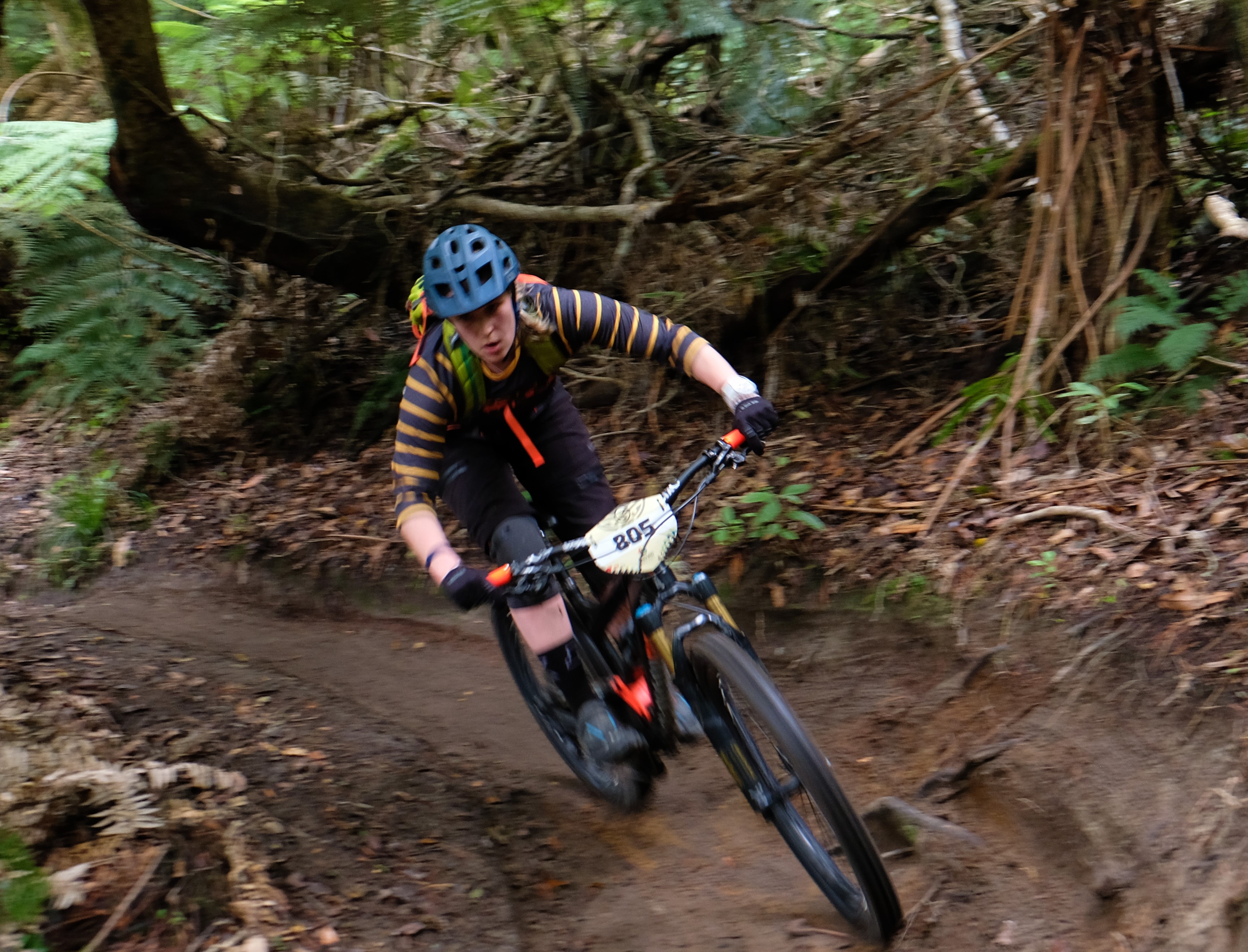 giant-toa-enduro-challenger_33480986572_o