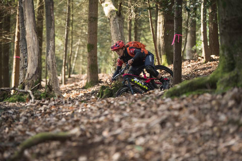 17426344_1309187462451103_9019633078097602126_n