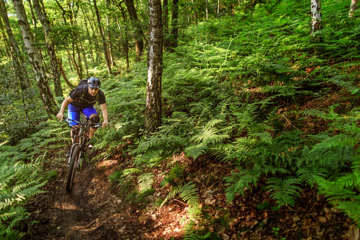 Mountainbiken im Ruhrpott