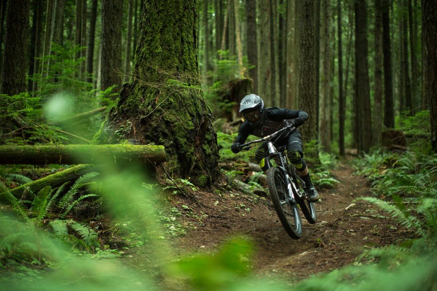 welcomeyoannbarelliweb181116225712-900x600