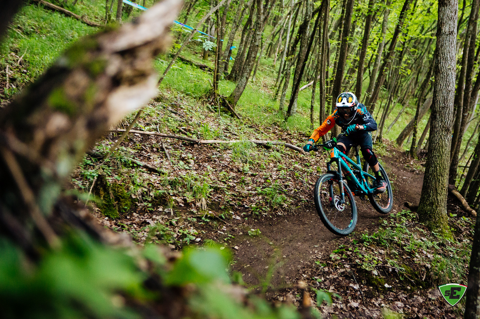 27533077857_faefb490e8_h