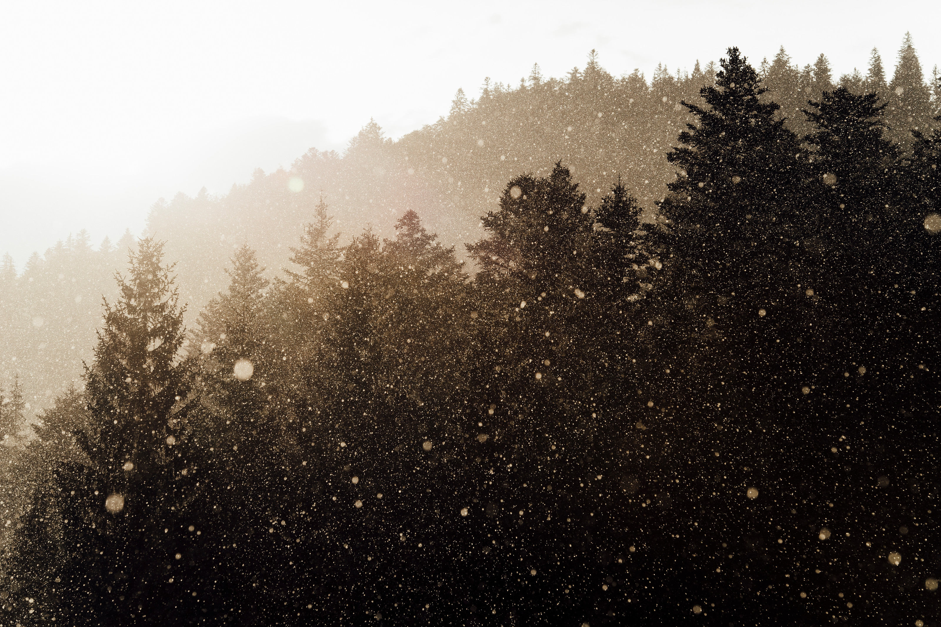 Downhill World Cup La Bresse 2018