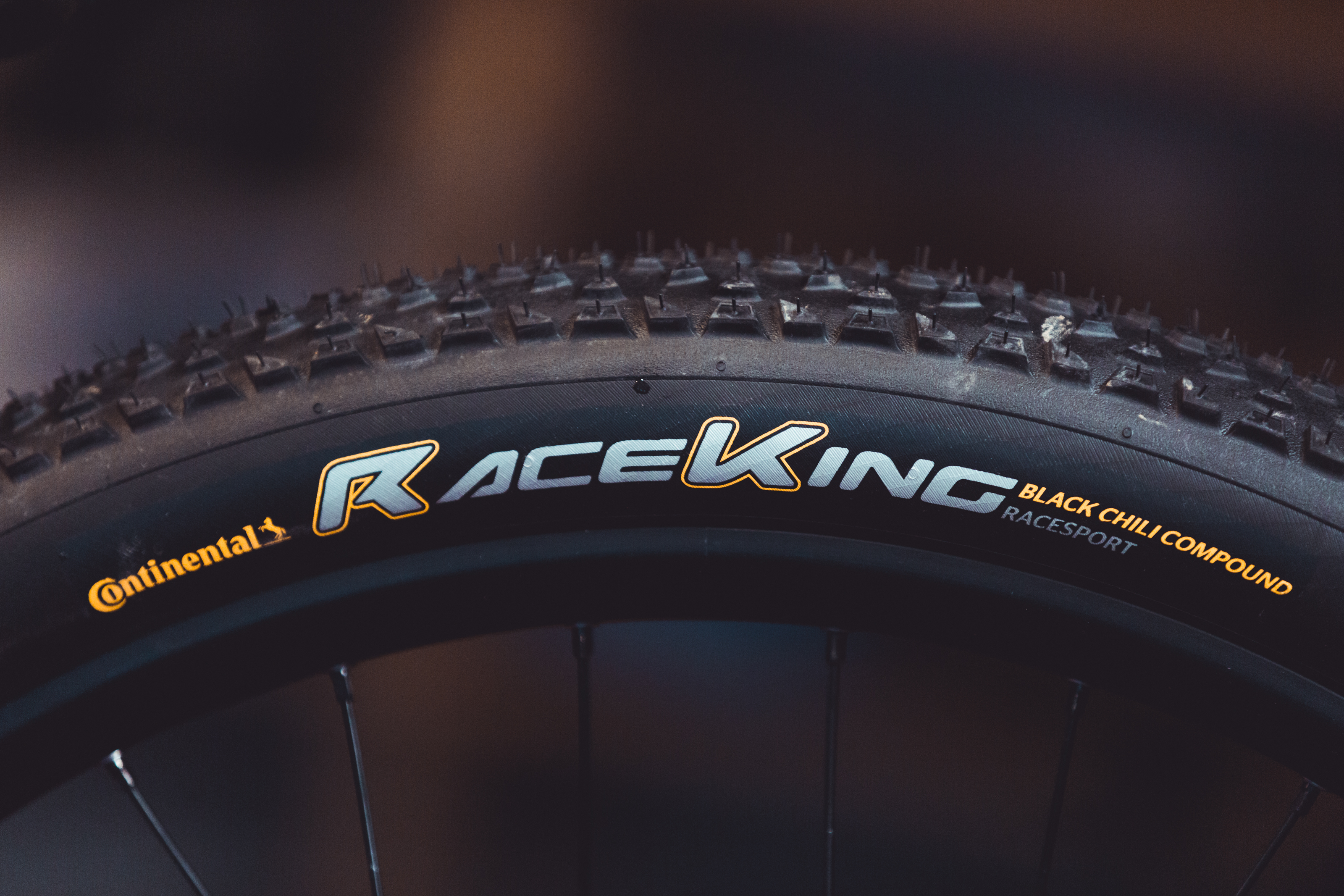 erikfedko_richardbos_bikecheckindoor_3200px-25