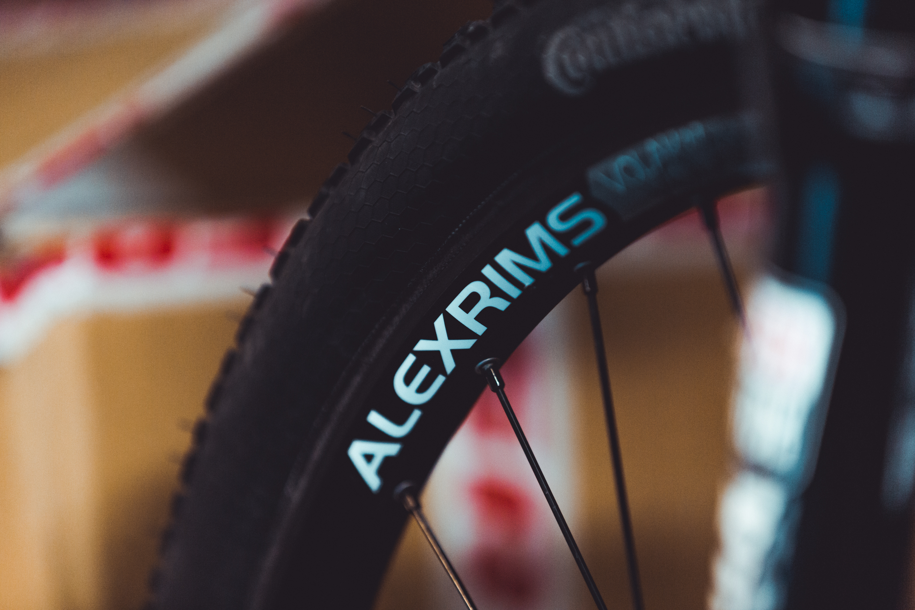 erikfedko_richardbos_bikecheckindoor_3200px-26