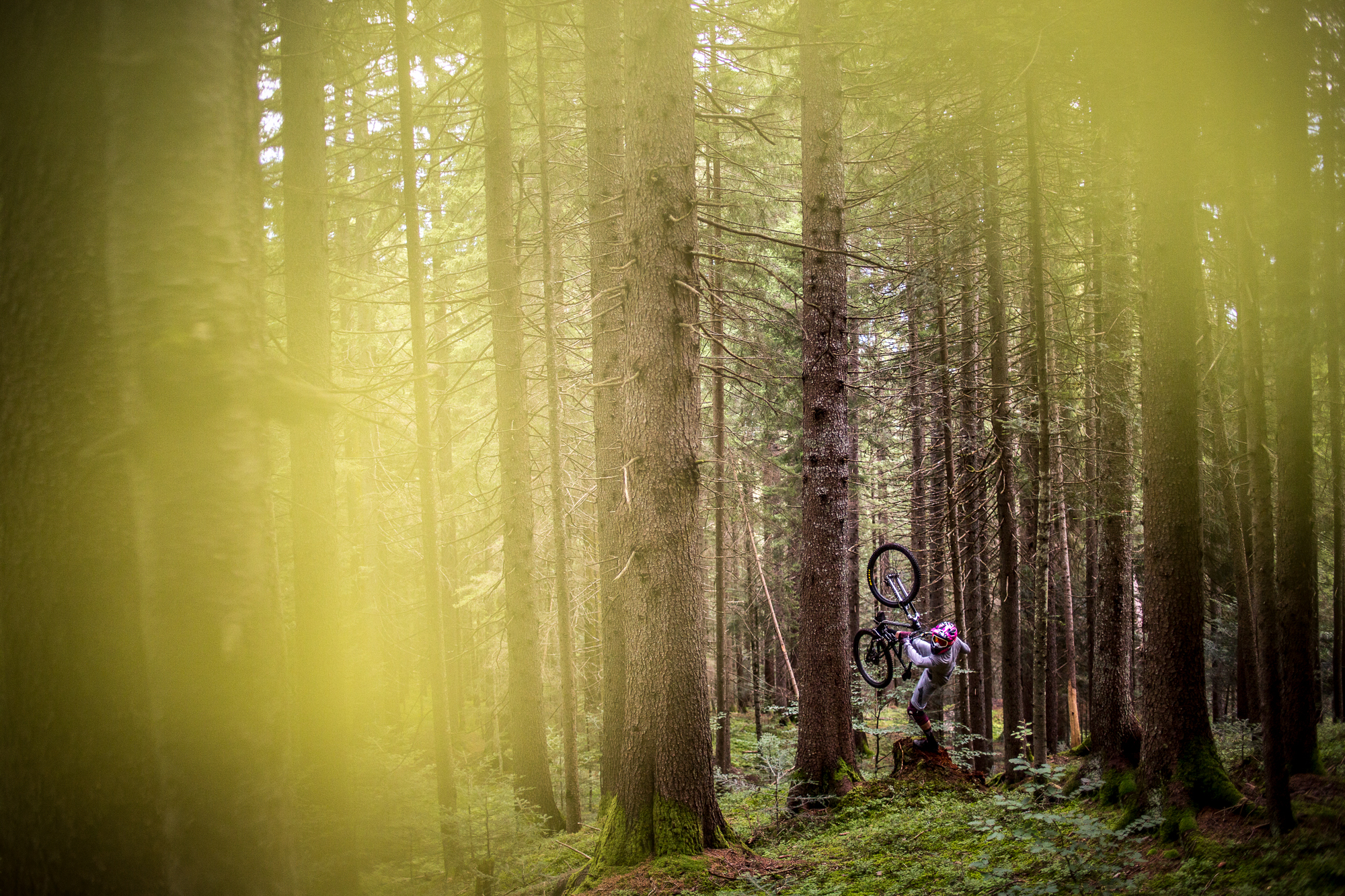 Spotlight Hannes Klausner