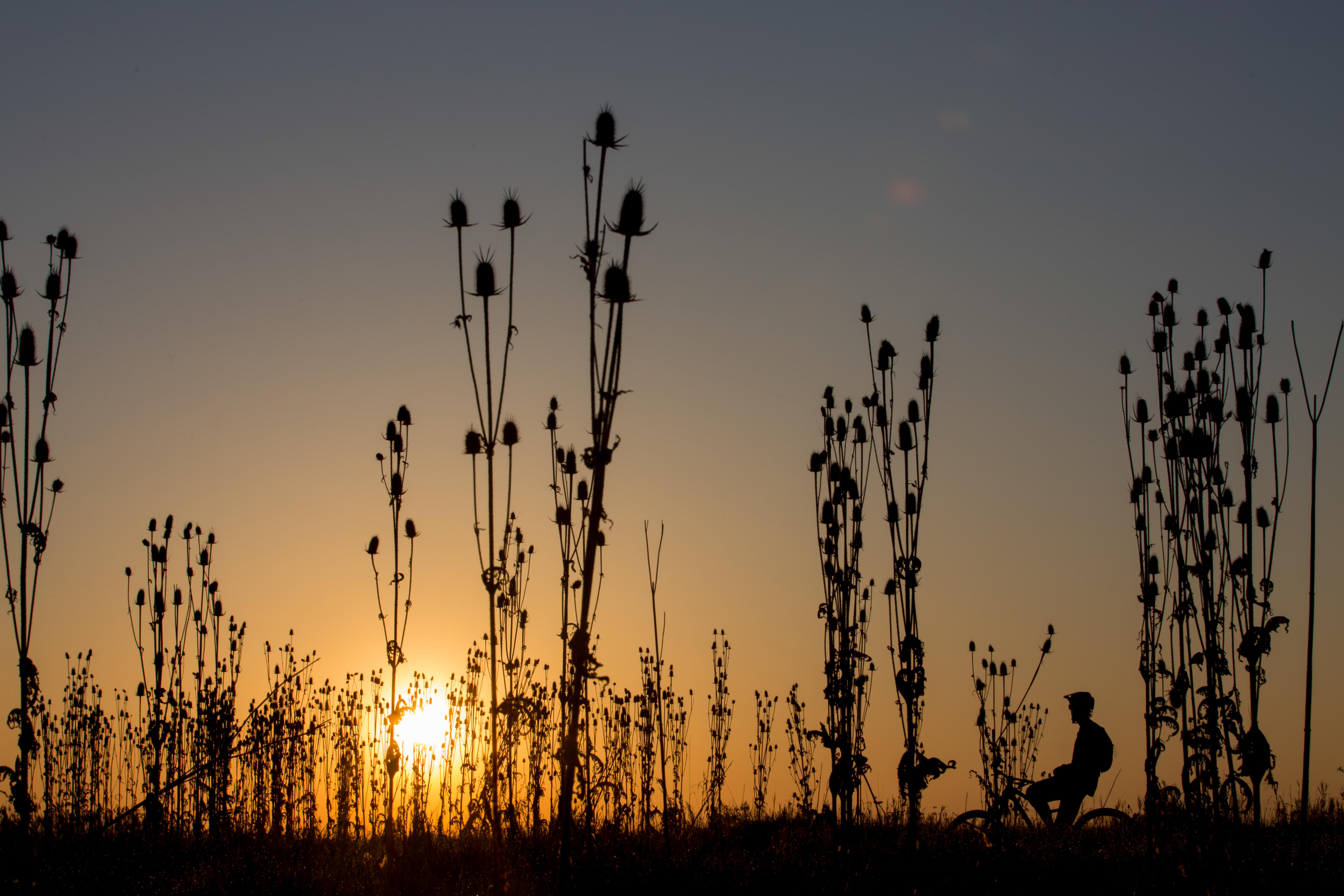 Spotlight Hannes Klausner
