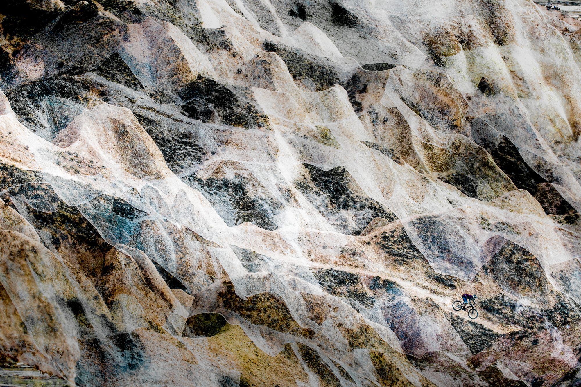 Art 6