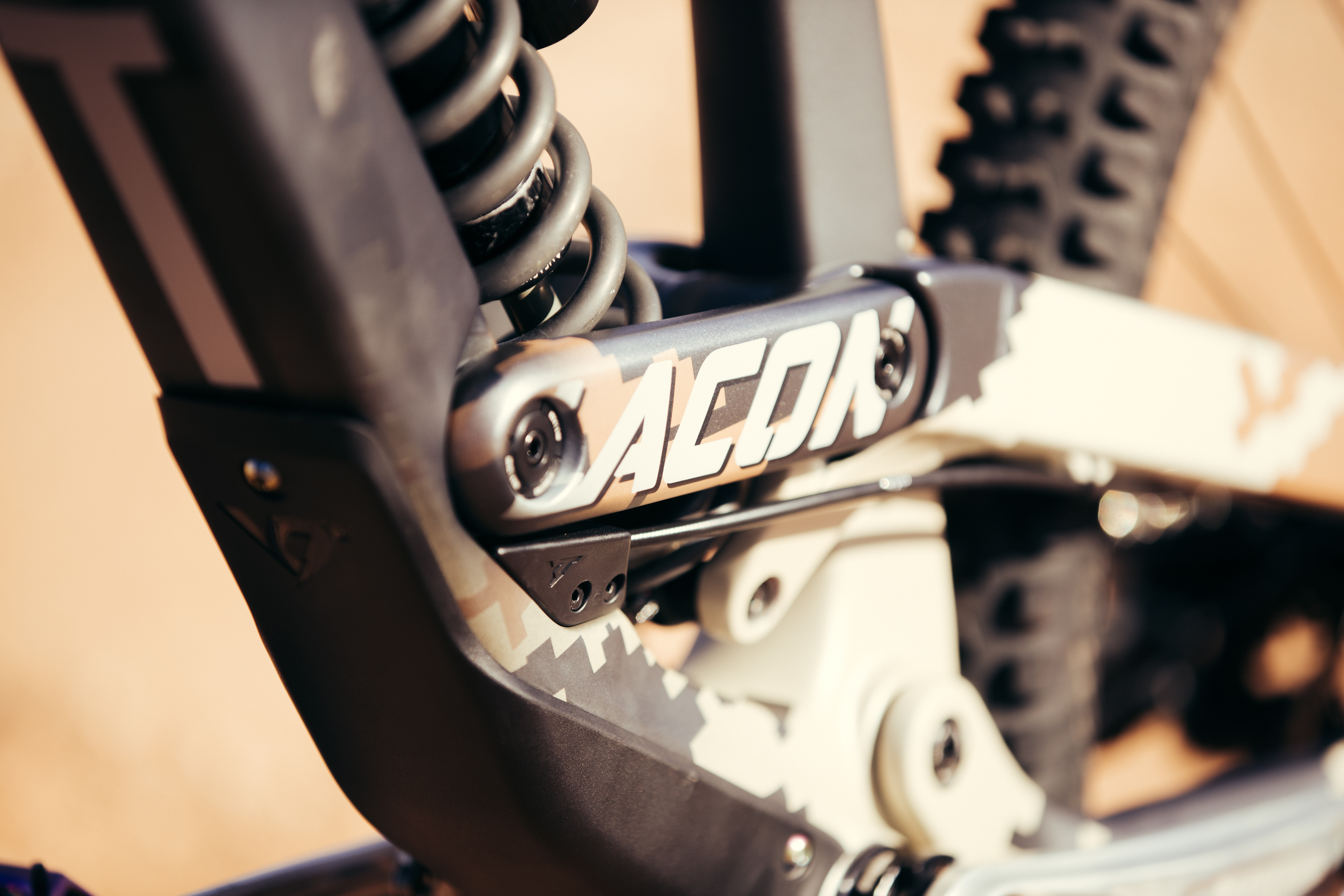 Lacondeguy_RAMPAGE19-8632