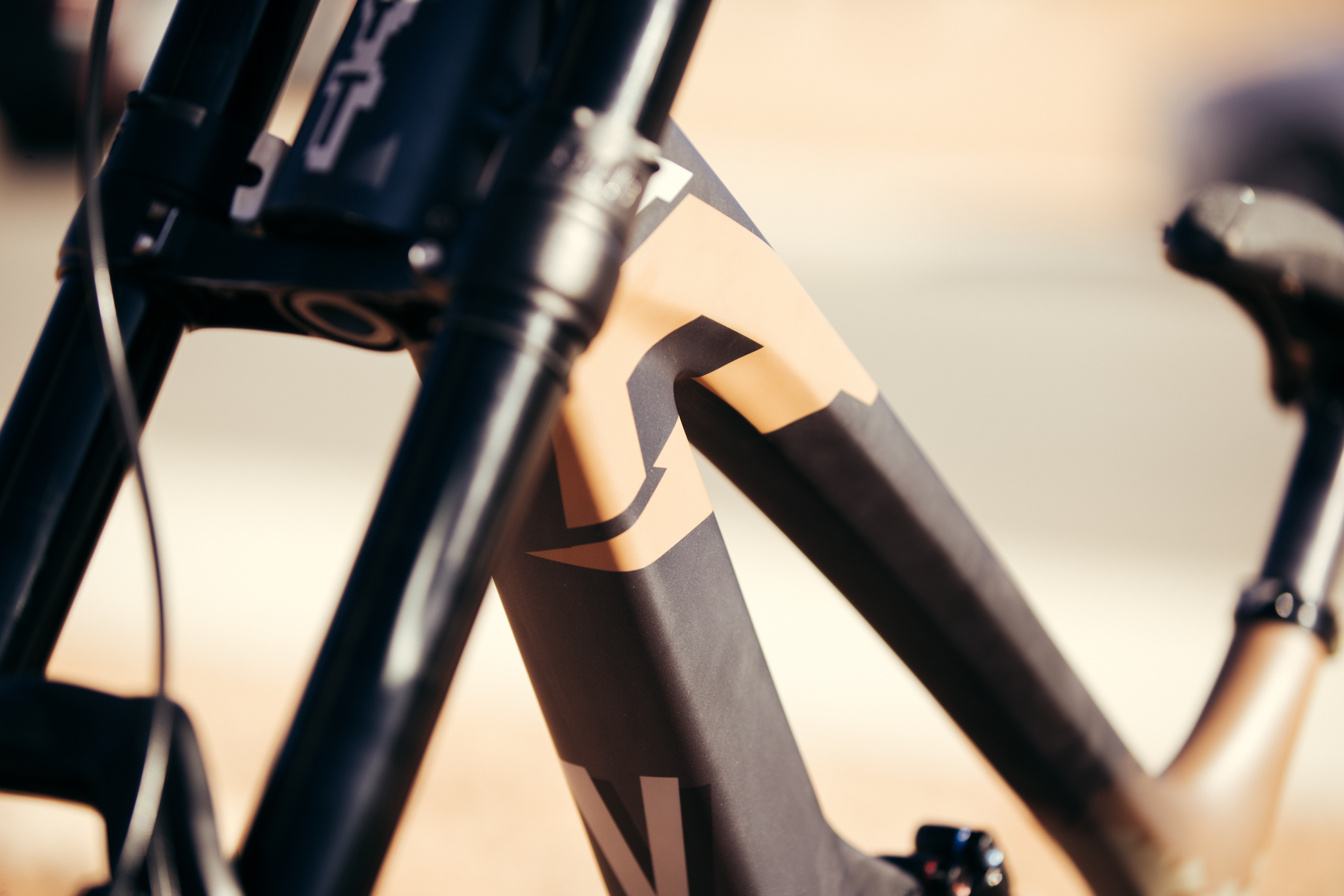 Lacondeguy_RAMPAGE19-8634