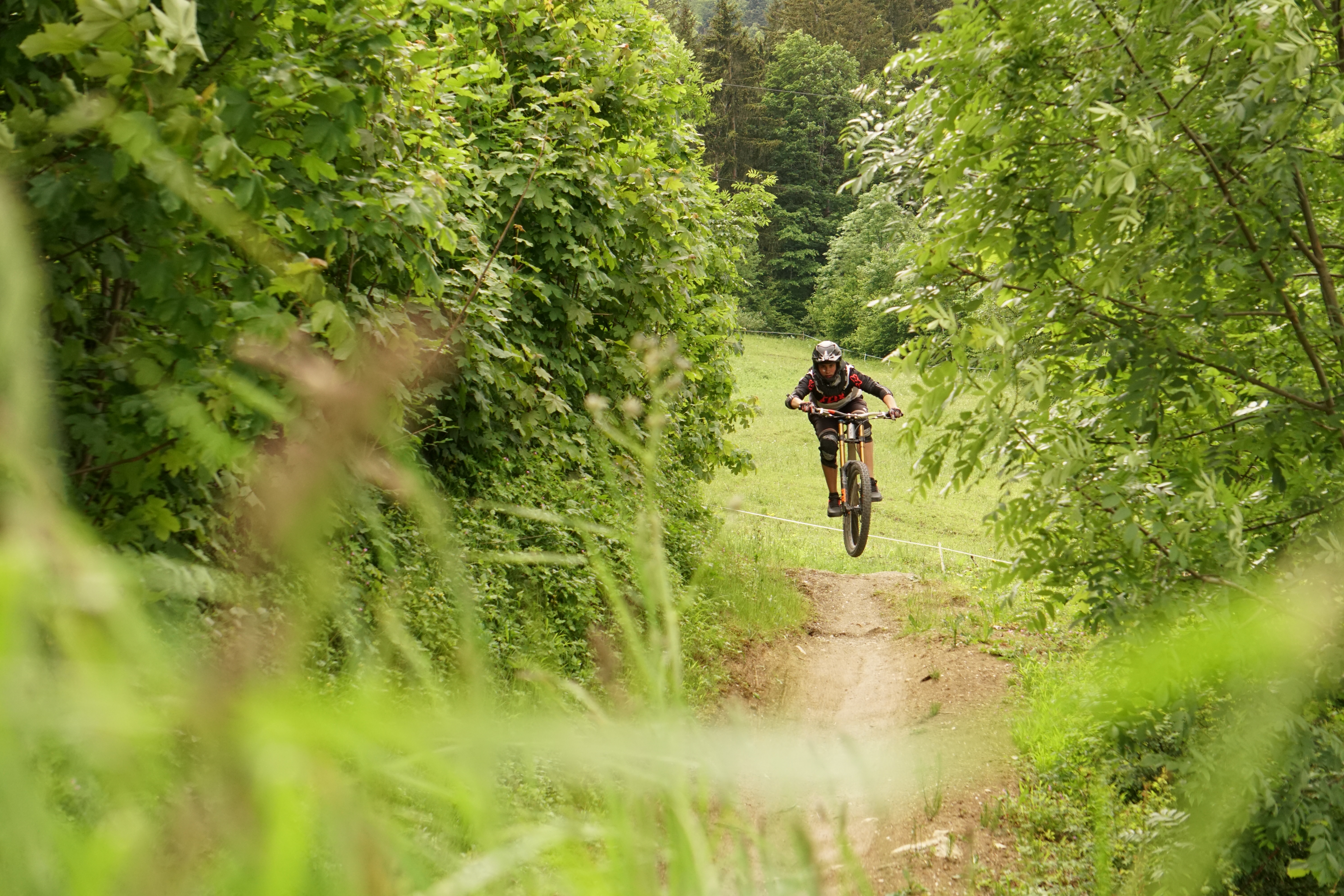 Der Name ist Programm!