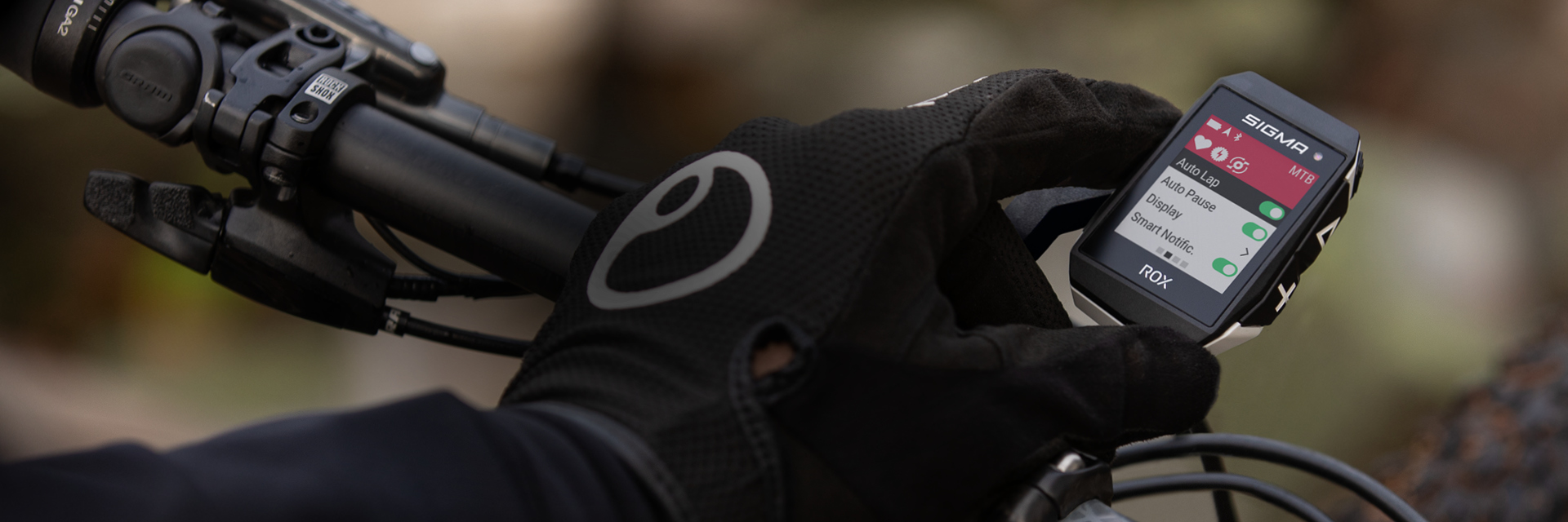 sigma_rox-11-1_bedienung-en