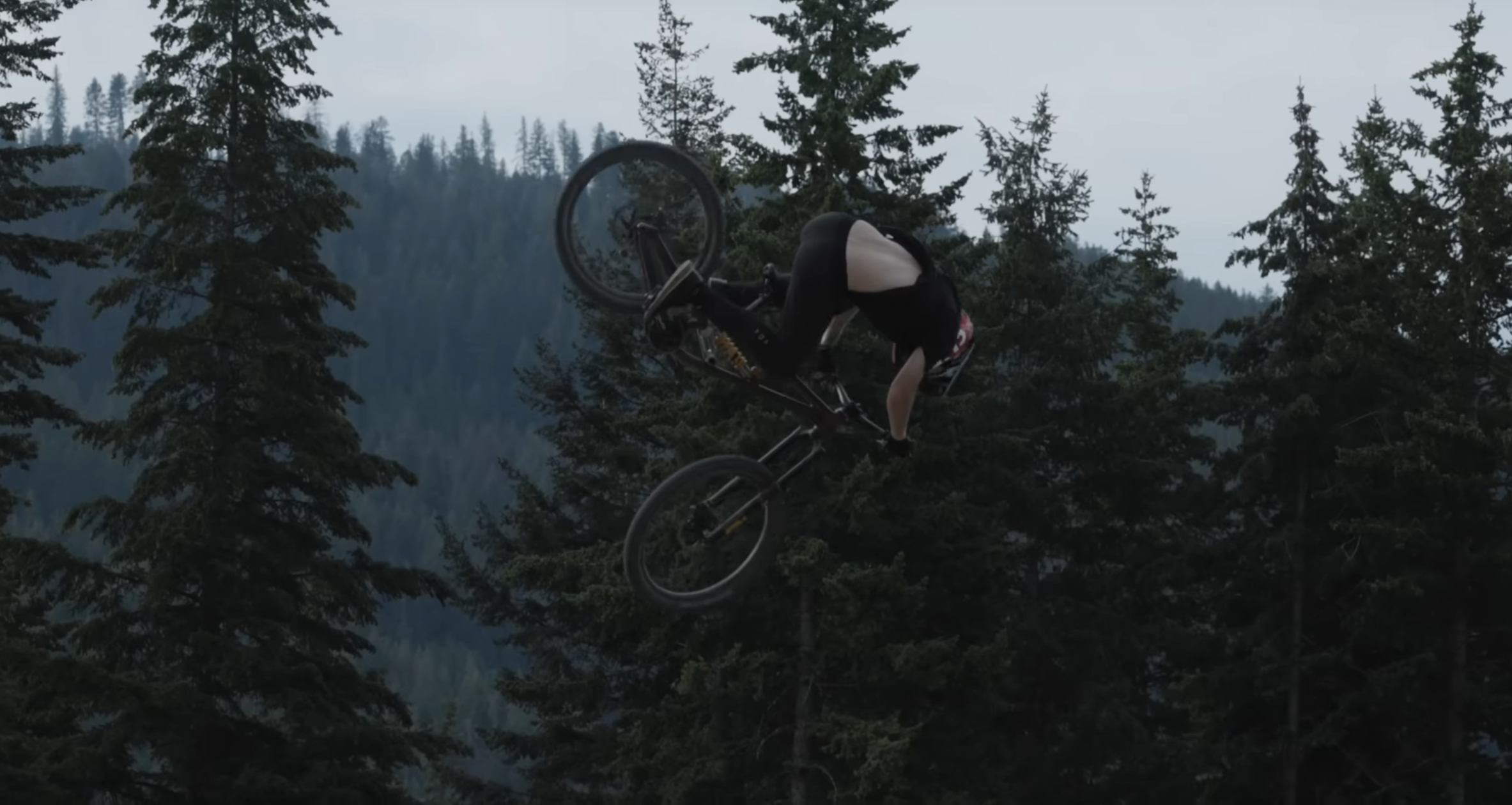 Brett Rheeder