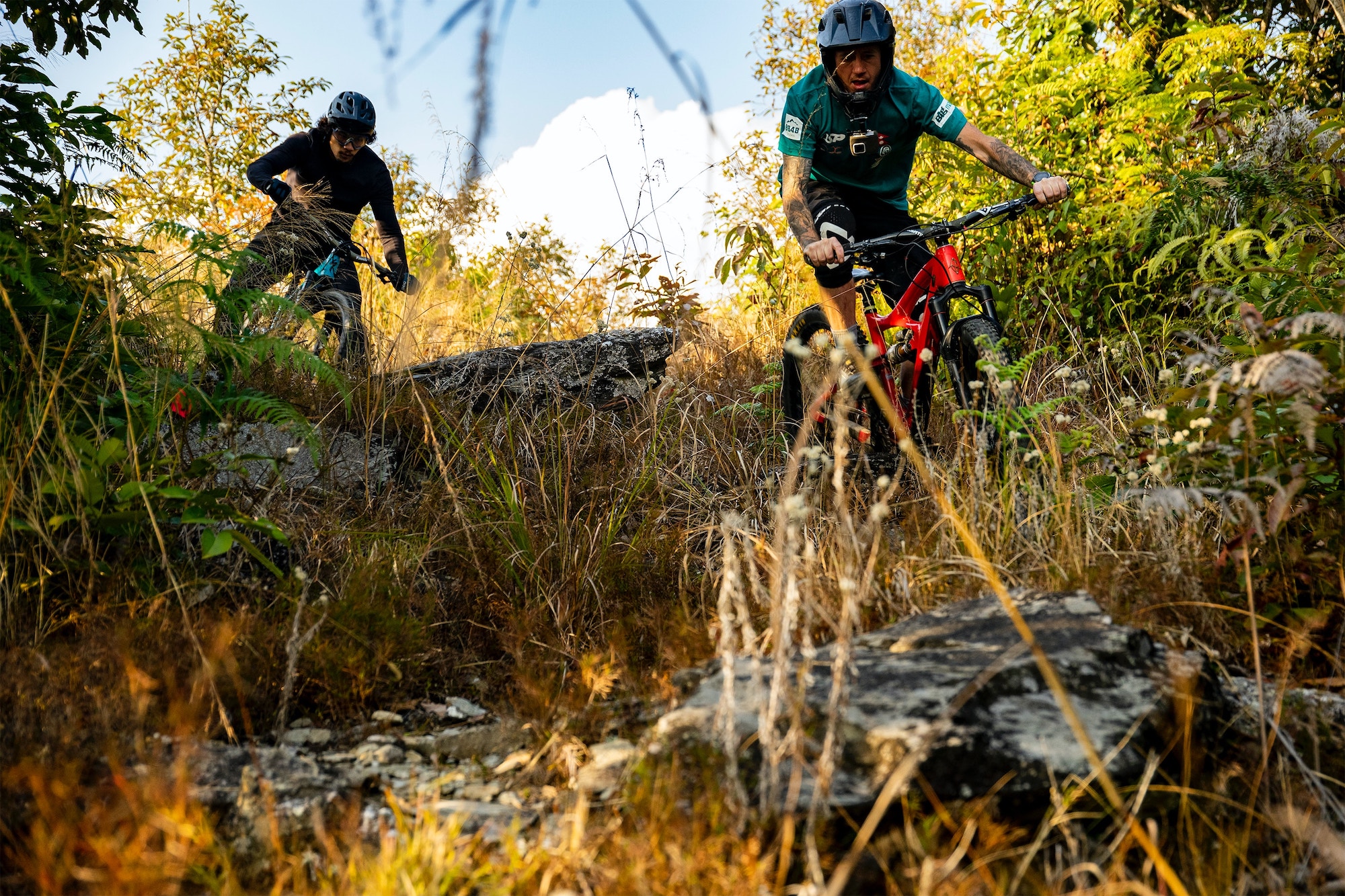 Bikeparks in Deutschland