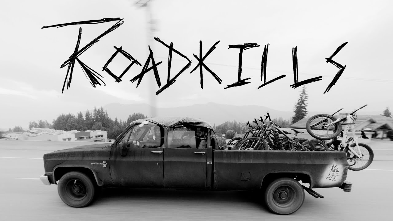 roadkill