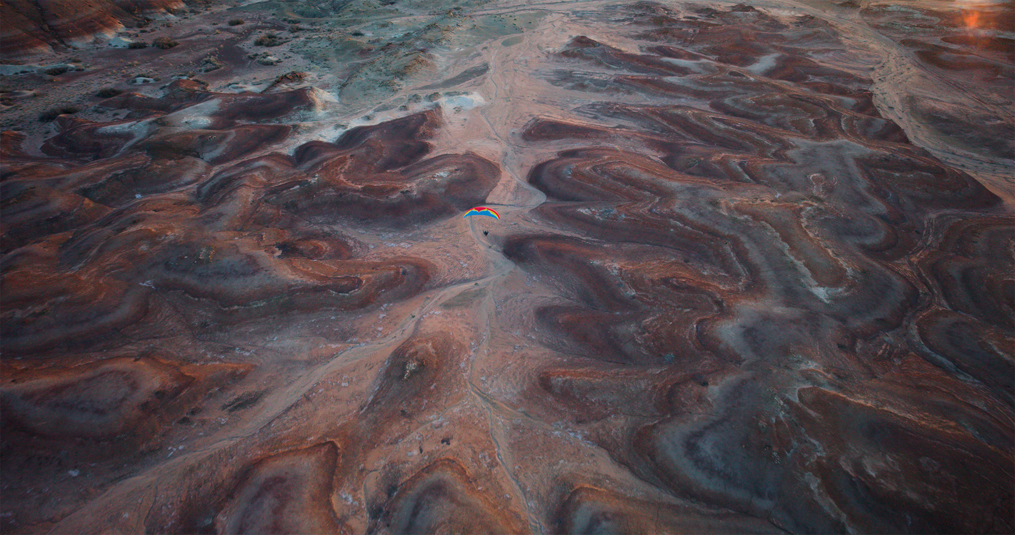 desert-wings__desert-wings