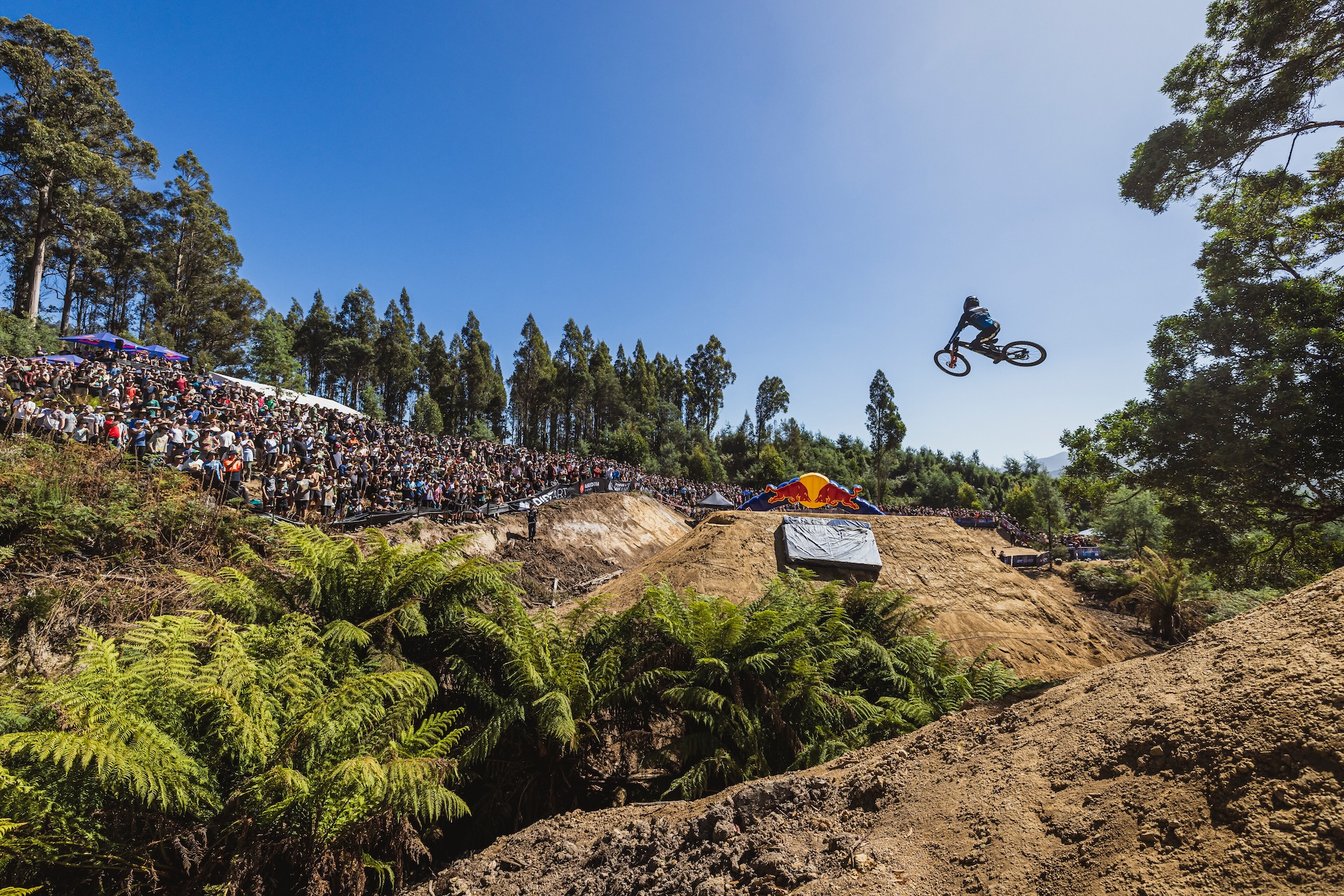 Red Bull Hardline