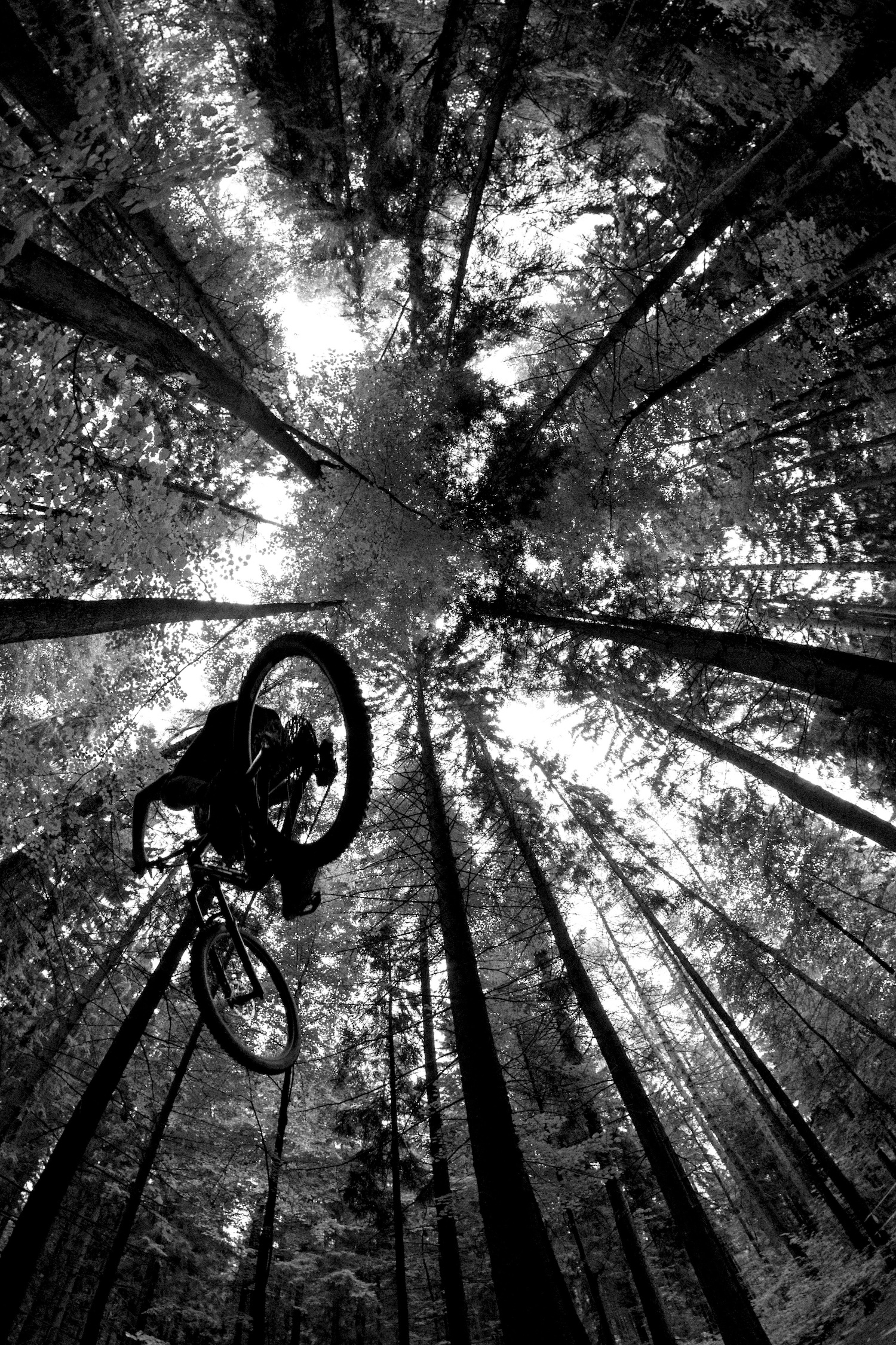 MTB-Trails rund um Freiburg