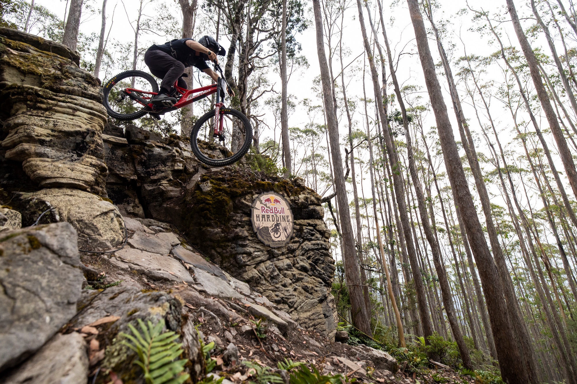 Red Bull Hardline 2025