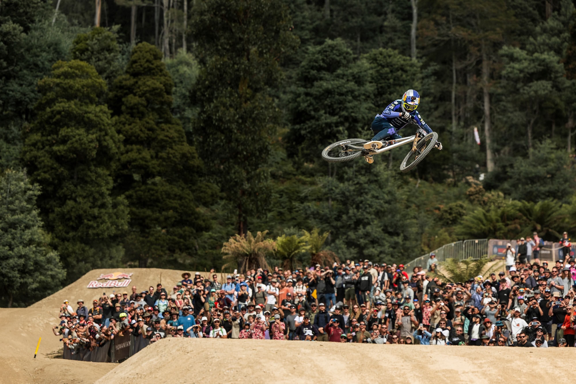 Asa Vermette Asa Vermette