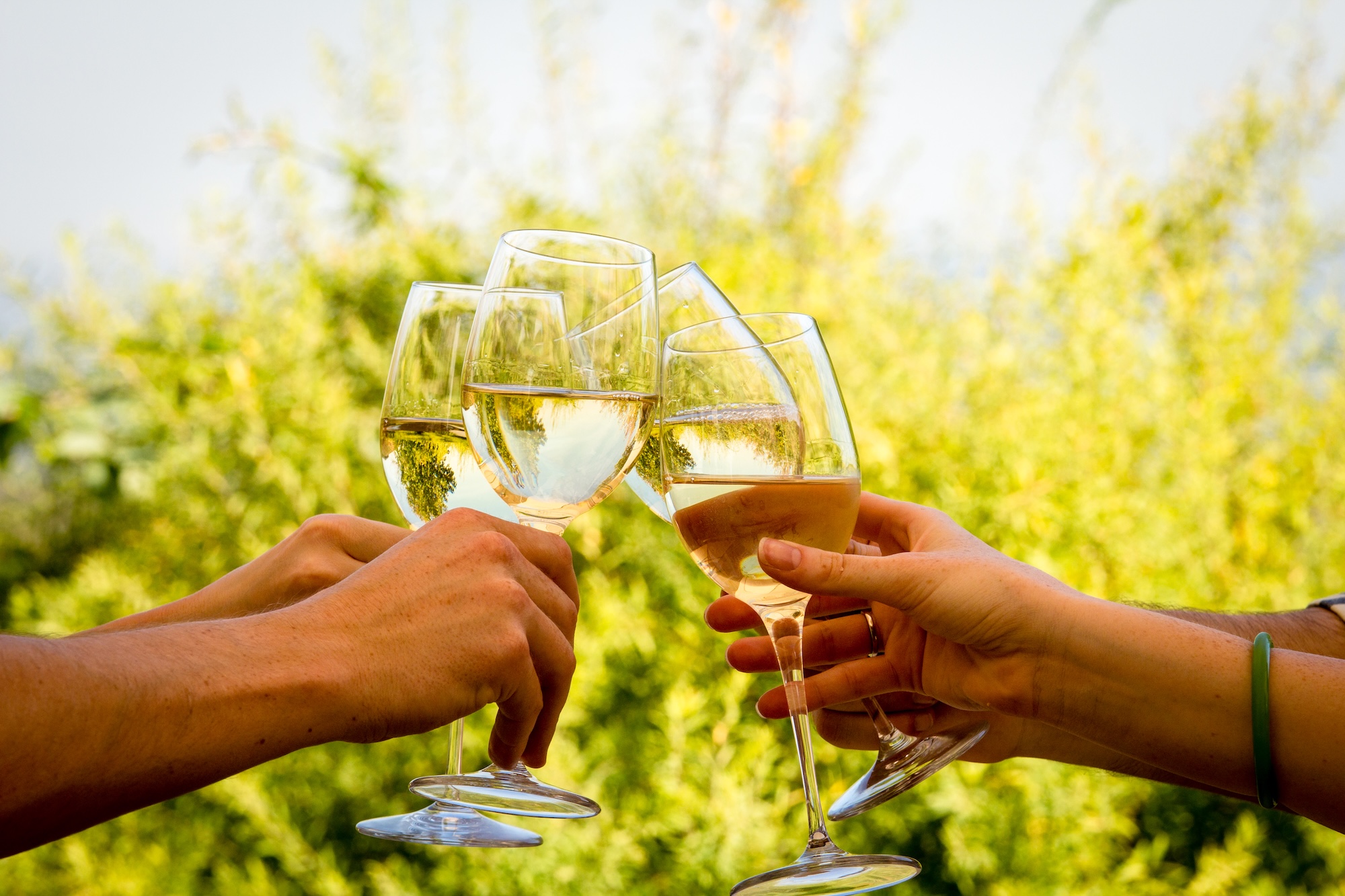 Wine & Dine_Stellenbosch