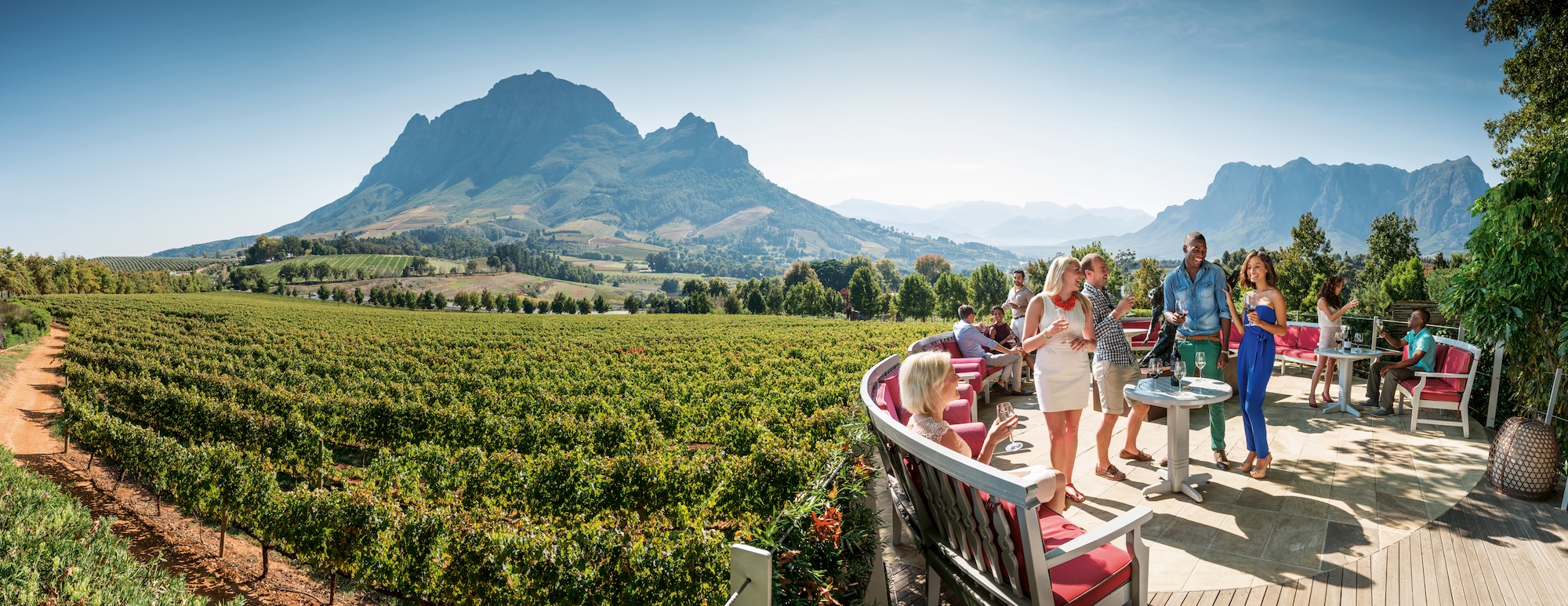 Wine & Dine_Stellenbosch