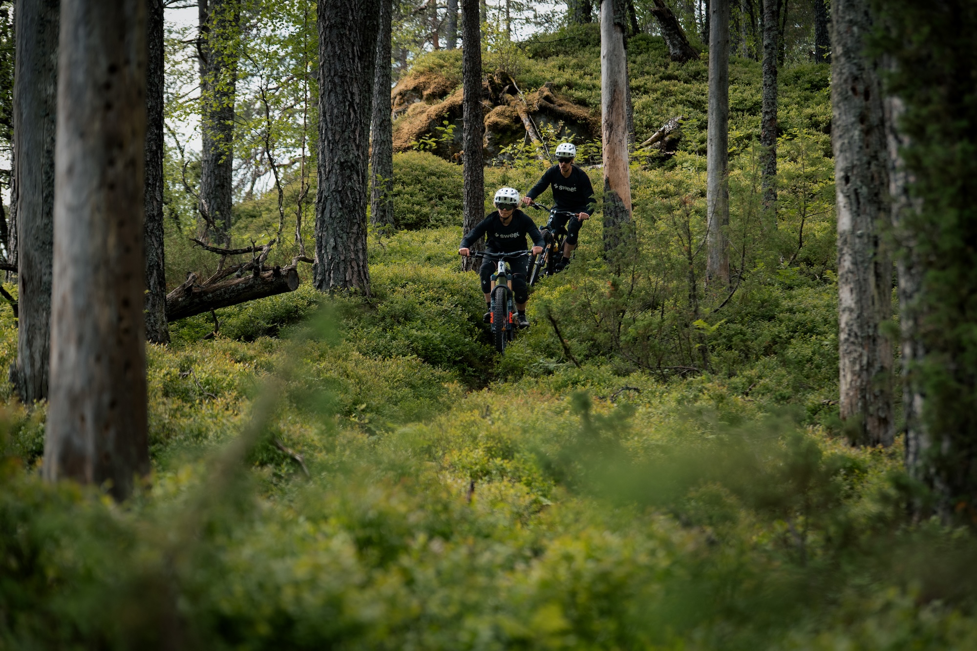 Sweet Protection Block Party Anniversary Collection