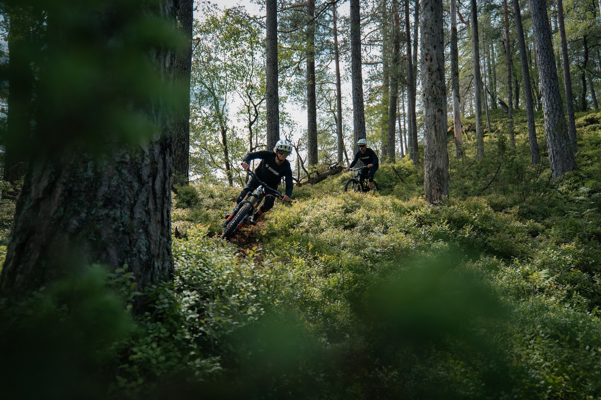 Sweet Protection Block Party Anniversary Collection