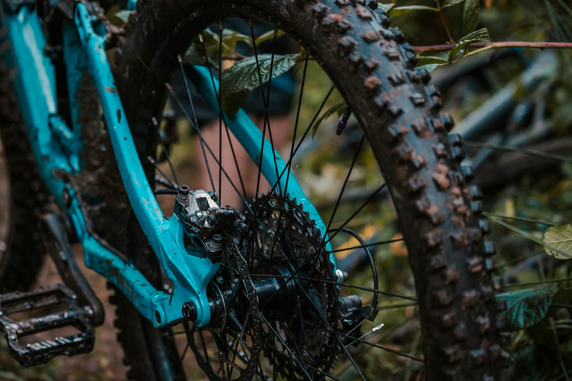 Farbige MTB Reifen