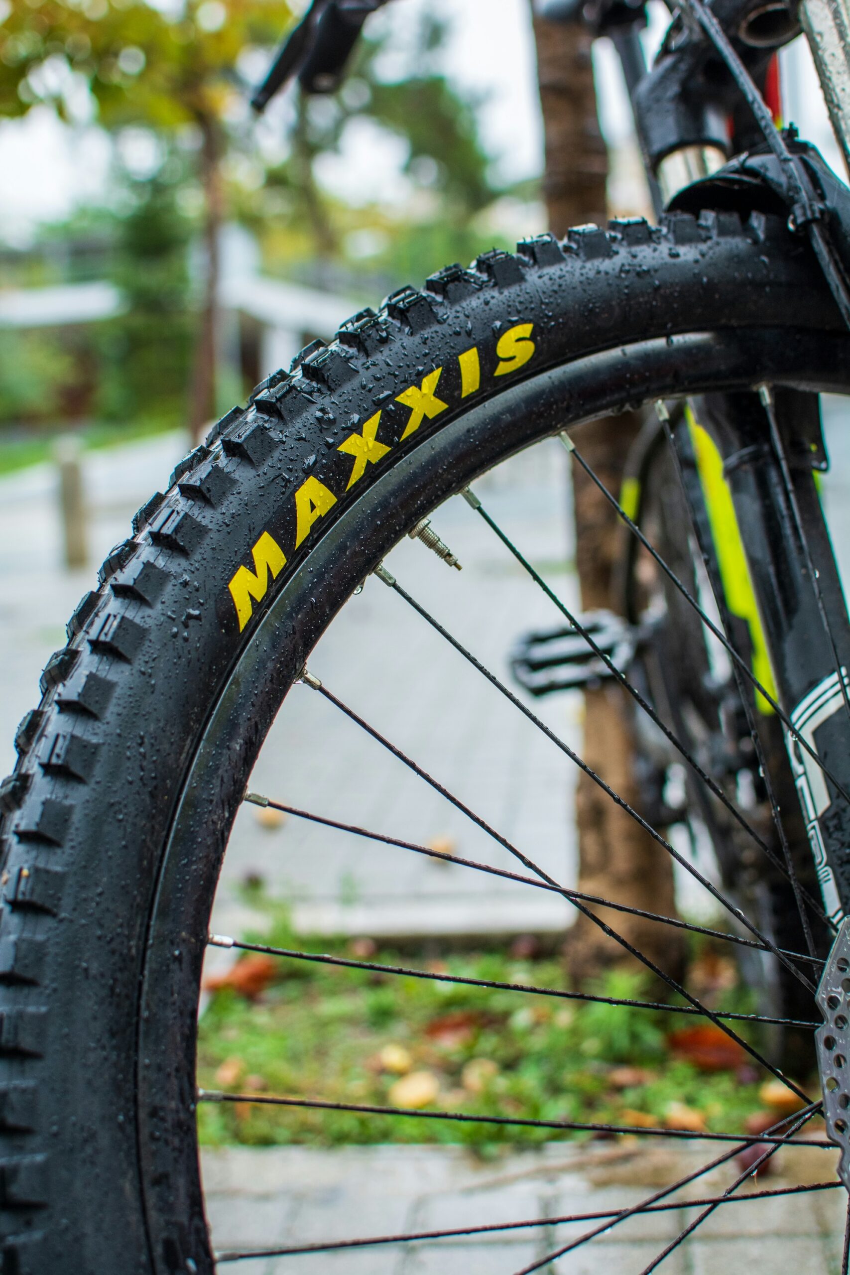 Farbige MTB Reifen