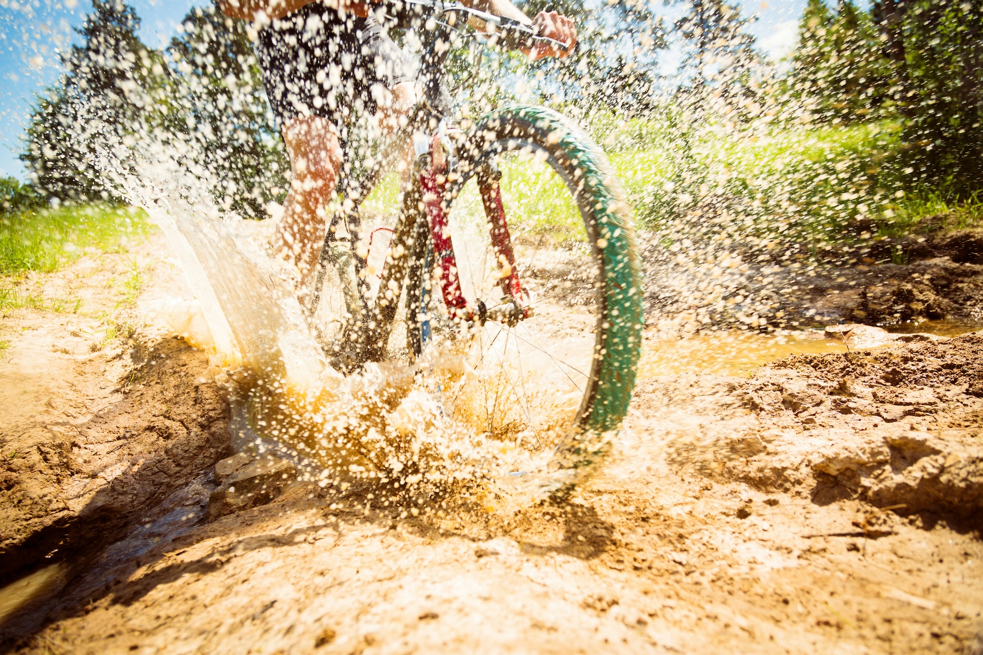 Farbige MTB Reifen