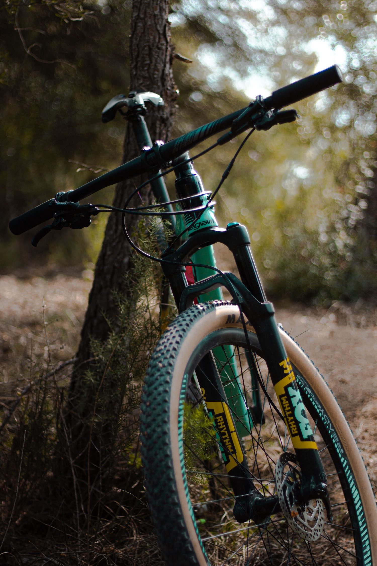 Bike Leasing