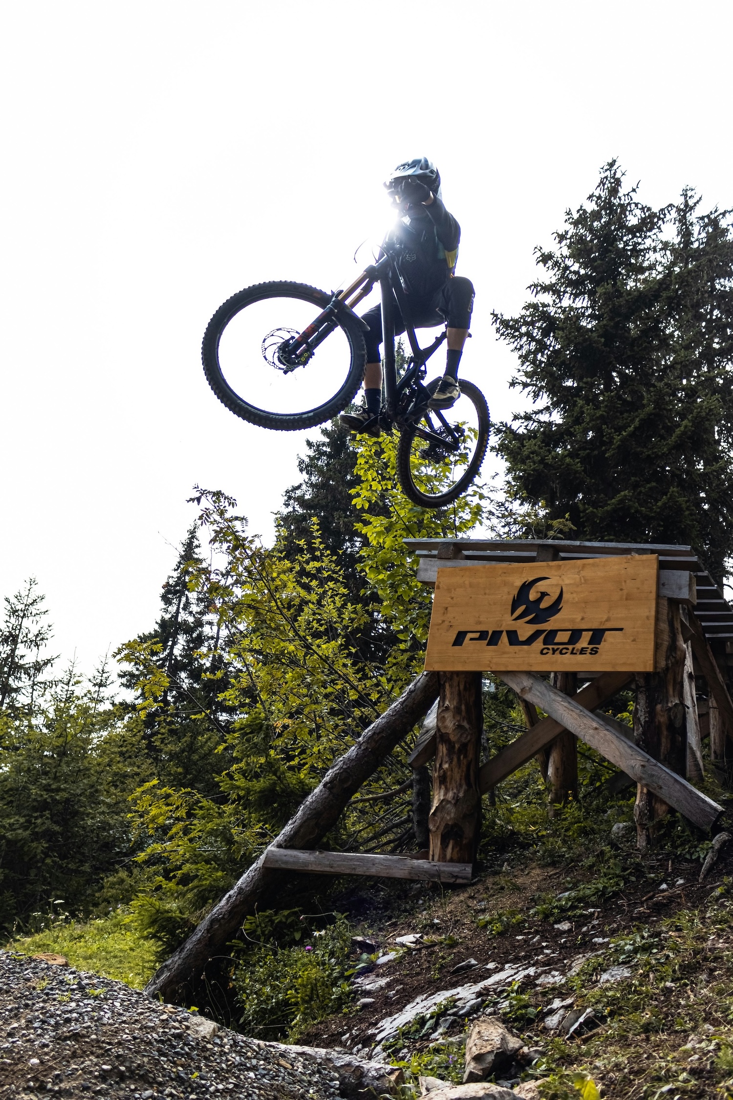 Die besten Online-Shops für Mountainbikes & MTB-Komponenten