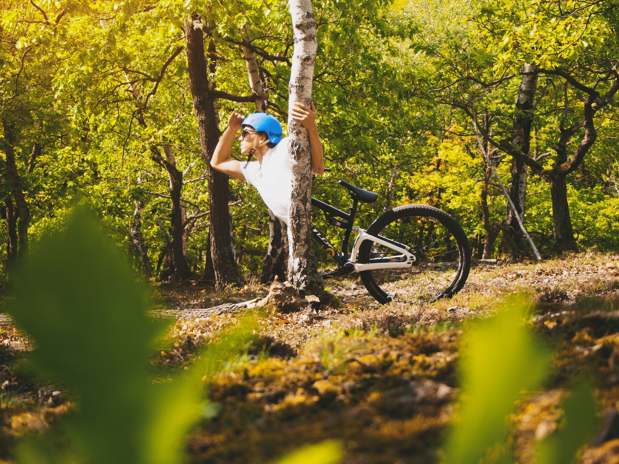 Neue MTB Trails 2026
