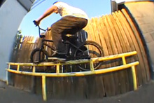 Lino Gonzales Animal Edit