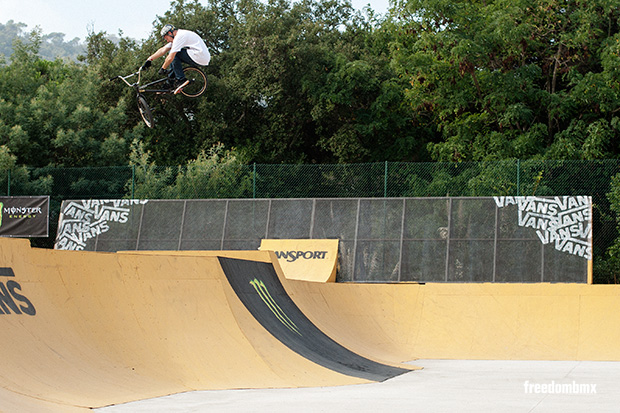 Markus-Braumann-Vans-rebeljam