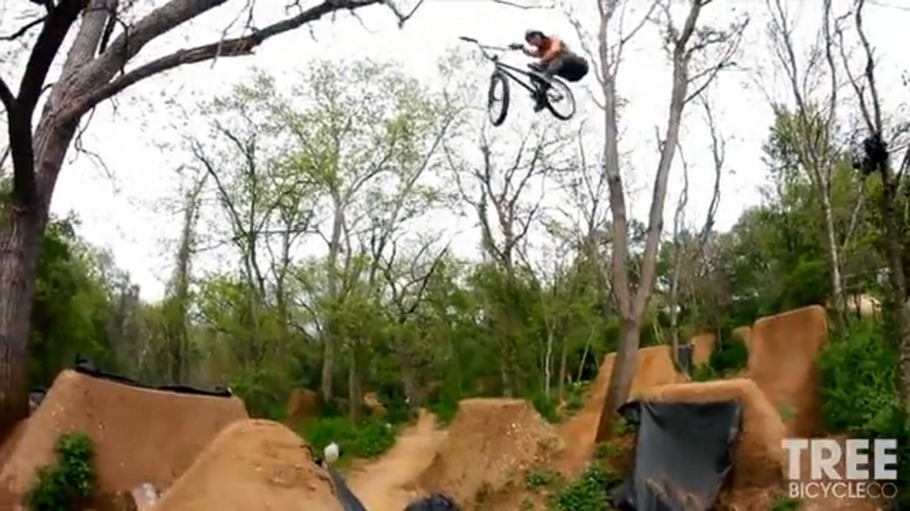 Brian-Yeagle-Tree-Edit