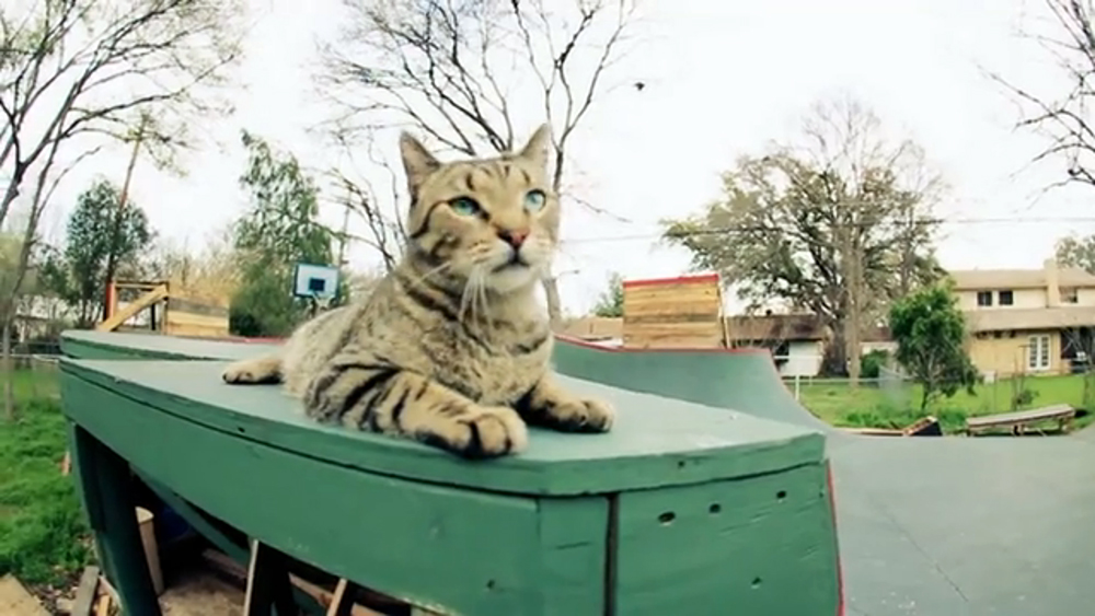 Drew-Bezanson-DK-Edit