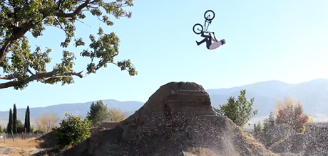 Sebastian-Smith-Freegun-Edit