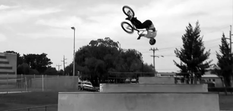 Todd-Meyn-Hitch-Edit