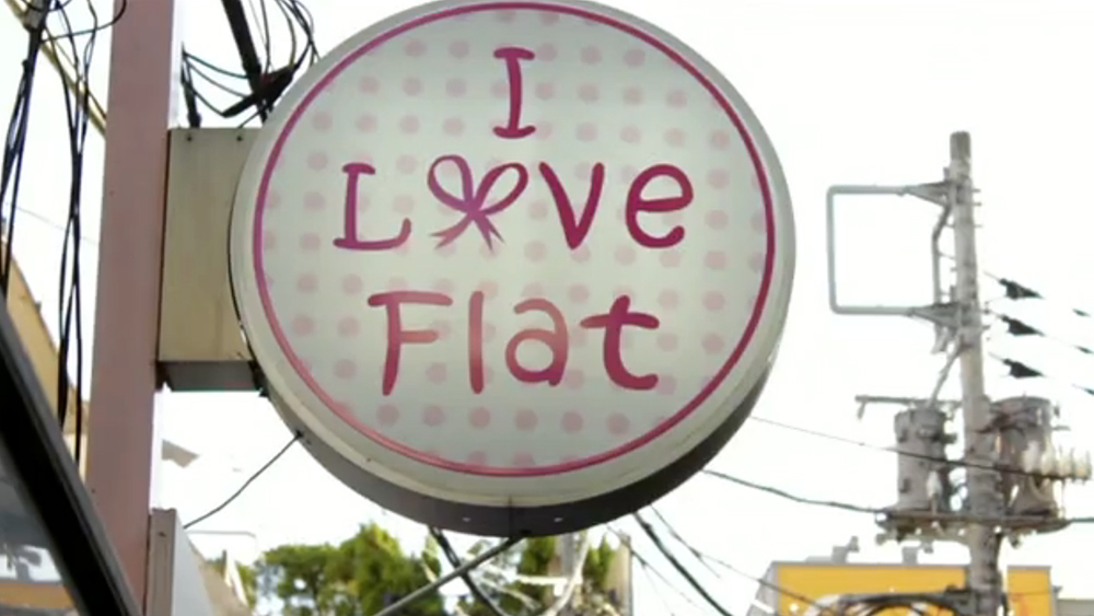 autum-flatland-japan-edit