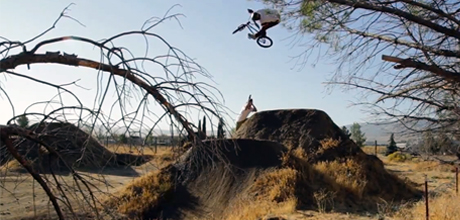 Ben-Wallace-Monster-Insight-Edit