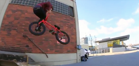 Felix-Wühler-Leservideo