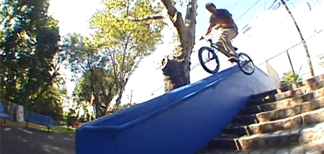 Jeff-Kocsis-Animal-QSS-3