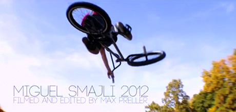 Leservideo-Miguel-Smajlji