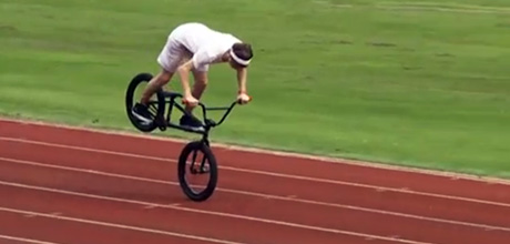 Nosemanual-Mike-Curley