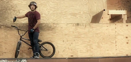 Rob-Armour-Animal-House-Edit